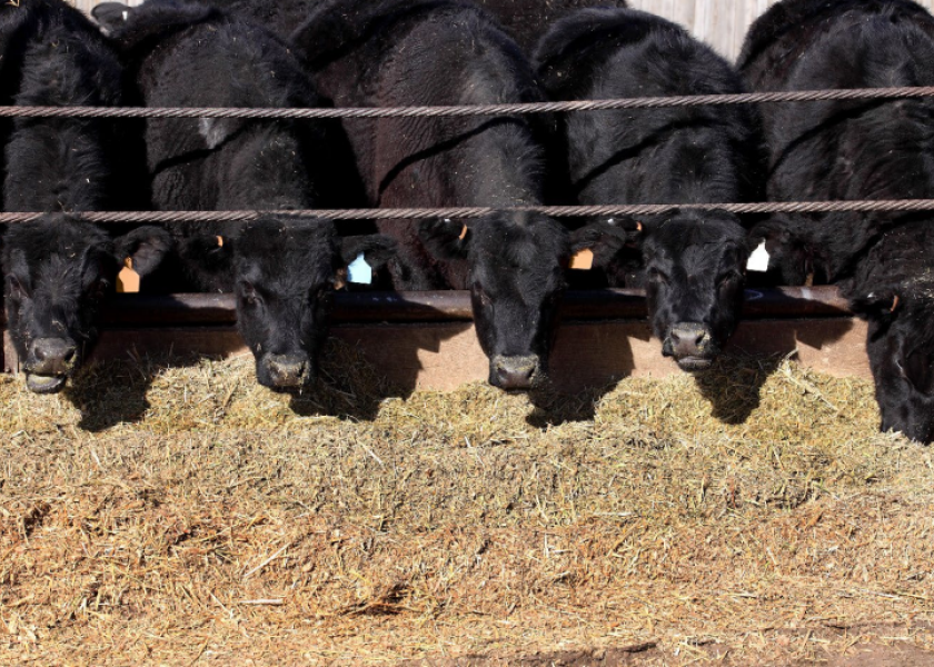 USDA's Cattle on Feed report shows larger than expected drop in